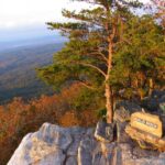Best Hiking Trails in Alabama