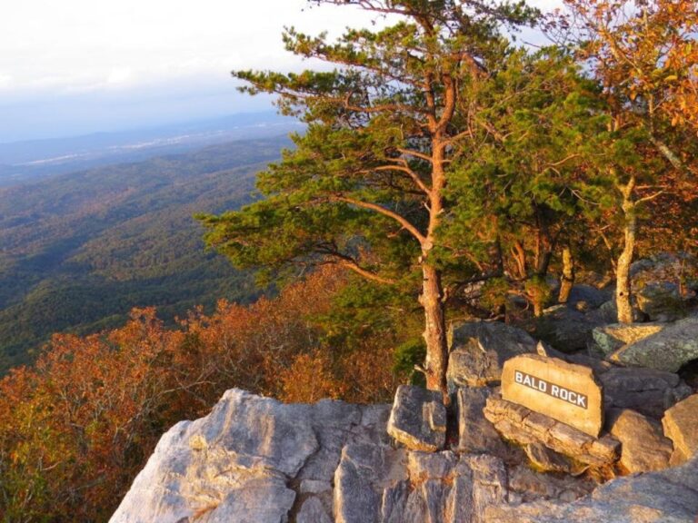 Best Hiking Trails in Alabama