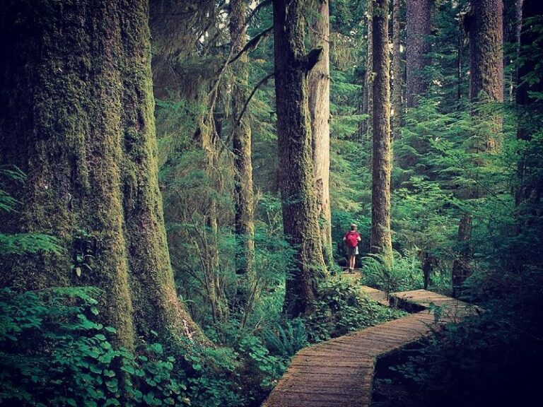 Best Hiking Trails in Bc