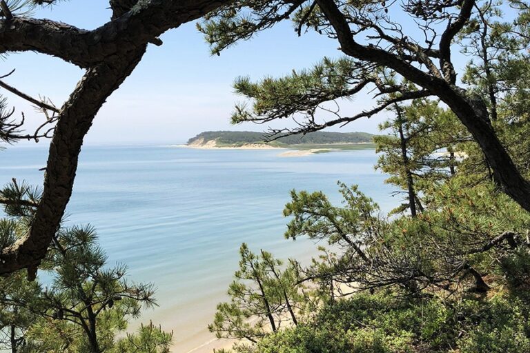 Best Hiking Trails in Cape Cod