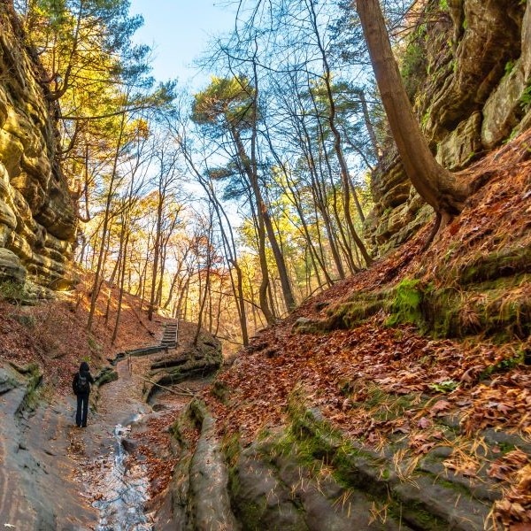 Best Hiking Trails in Chicago