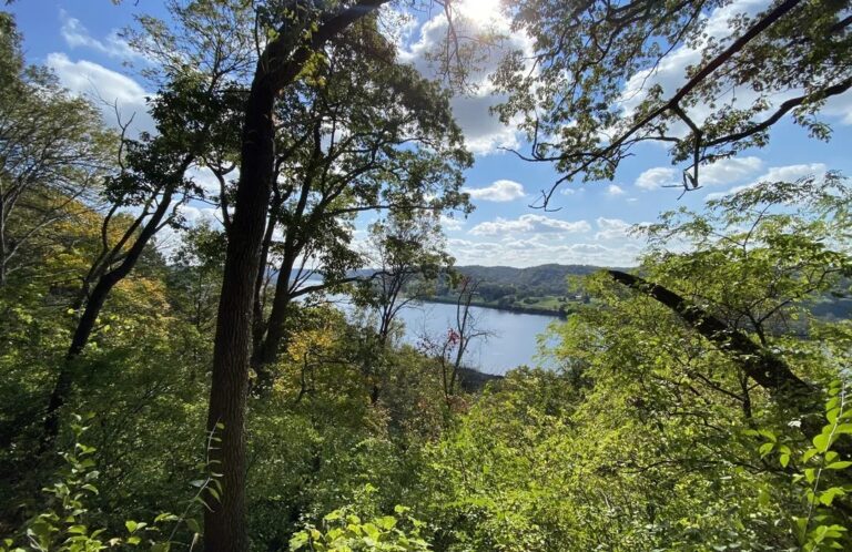 Best Hiking Trails in Cincinnati
