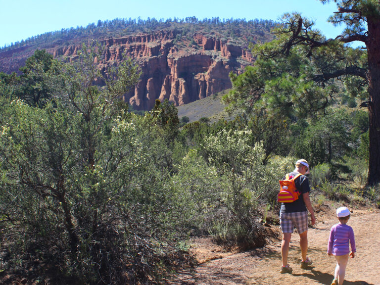 Best Hiking Trails in Flagstaff Arizona