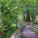 Best Hiking Trails in Florida