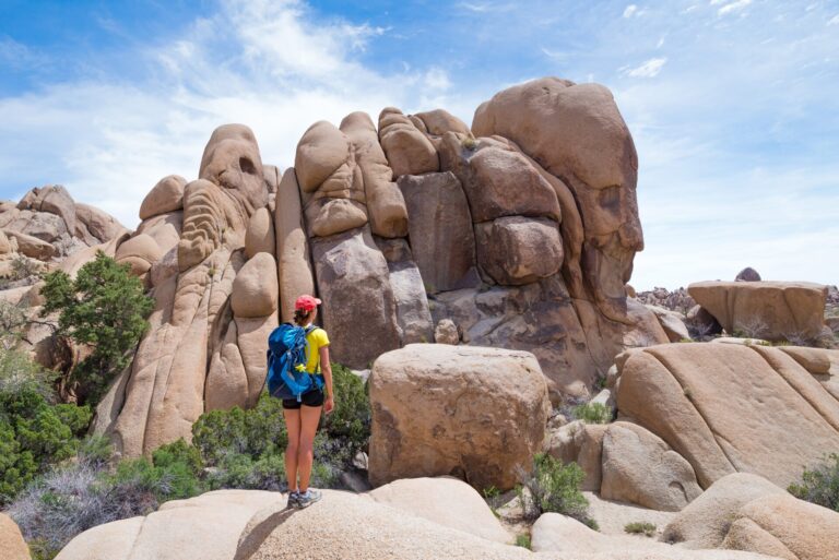 Best Hiking Trails in Joshua Tree