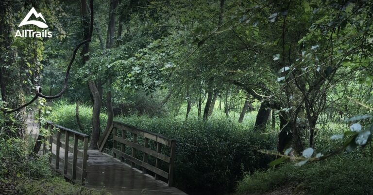 Best Hiking Trails in Louisiana