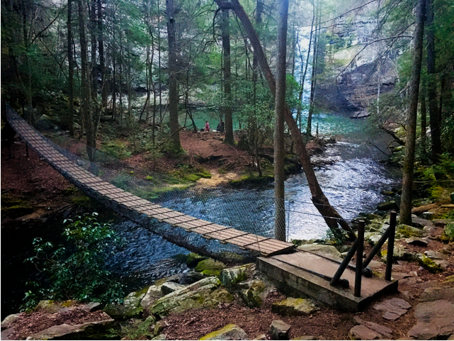 Best Hiking Trails in Nashville