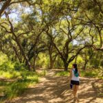 Best Hiking Trails in Orange County Ca