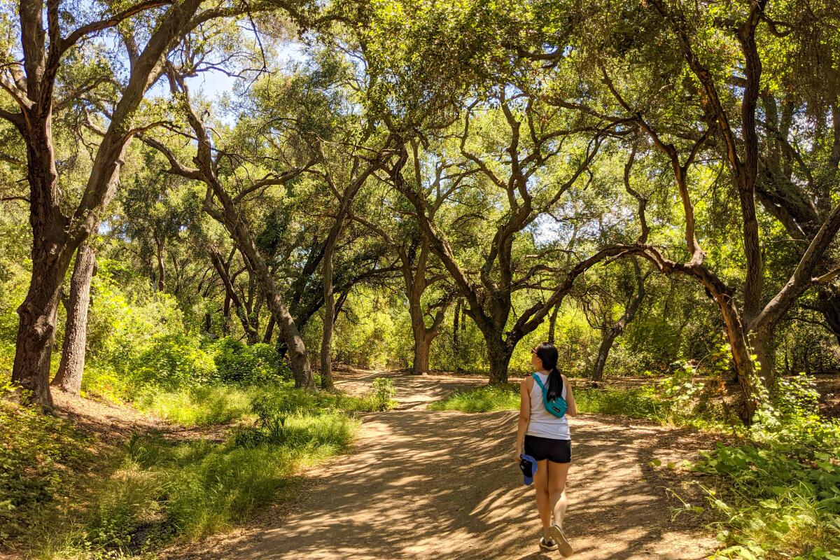 Best Hiking Trails in Orange County