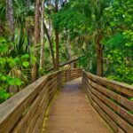 Best Hiking Trails in Orlando