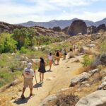 Best Hiking Trails in Palm Springs Ca