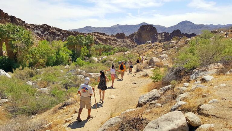 Best Hiking Trails in Palm Springs Ca