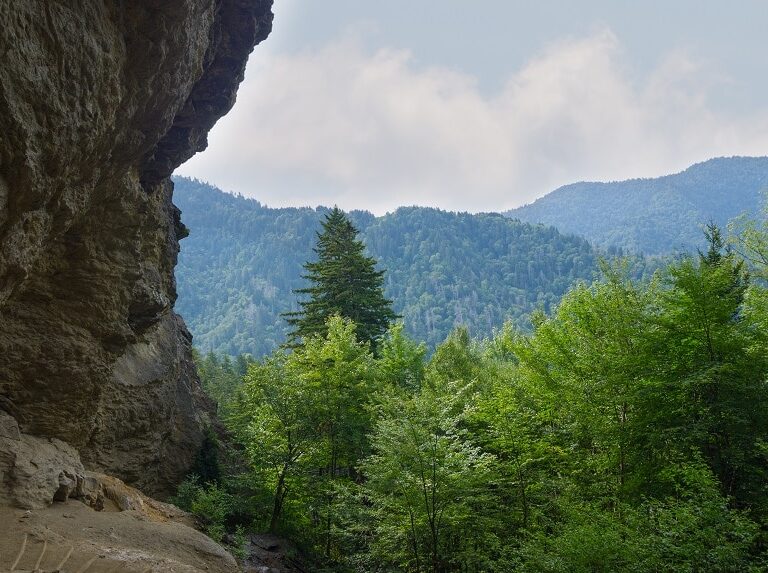 Best Hiking Trails in Pigeon Forge