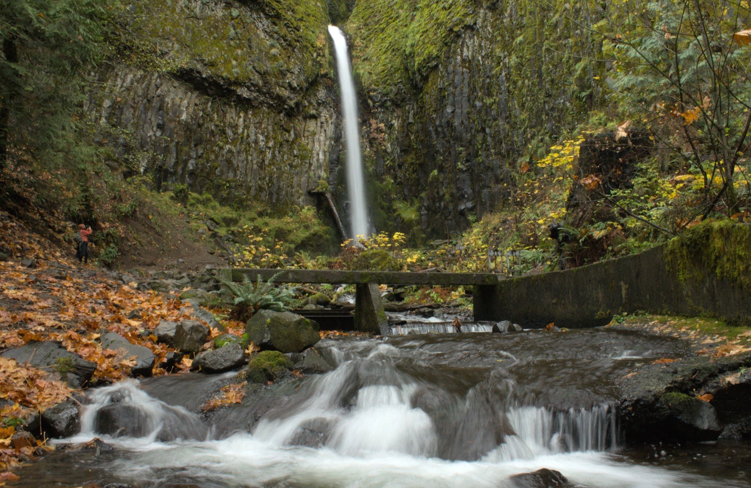 Best Hiking Trails in Portland Oregon