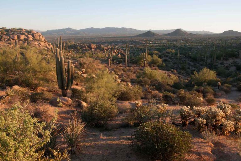 Best Hiking Trails in Scottsdale
