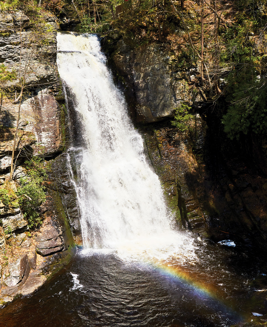 Best Hiking Trails in the Poconos
