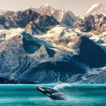 Best Place to Visit in Alaska for First Time