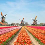 Best Places in Europe to Visit in March