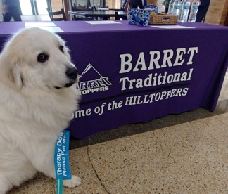 Best Places to Visit With Dogs in Kentucky