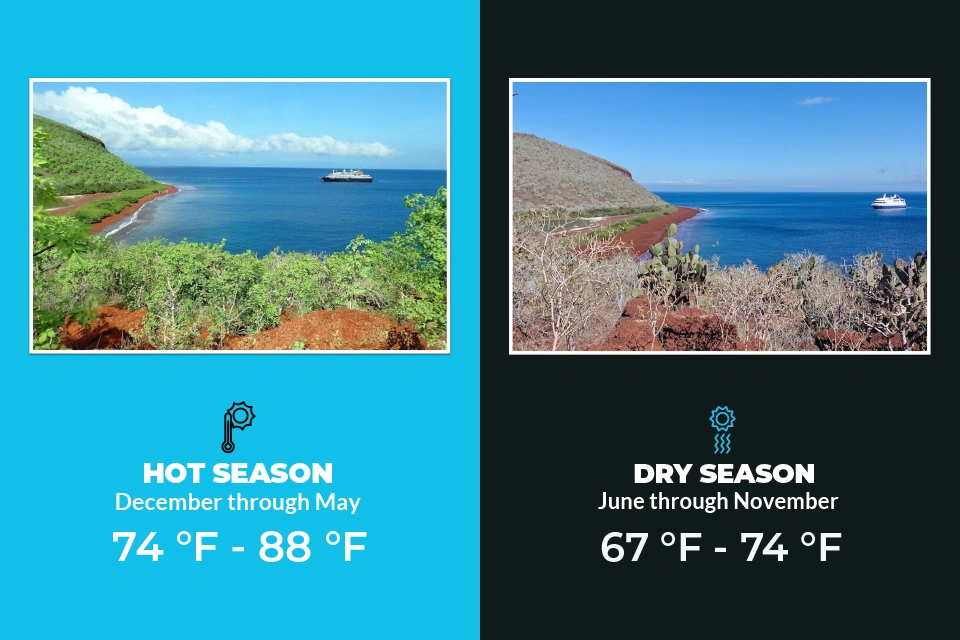 Best Time of Year to Visit Galapagos
