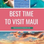 Best Time of Year to Visit Maui