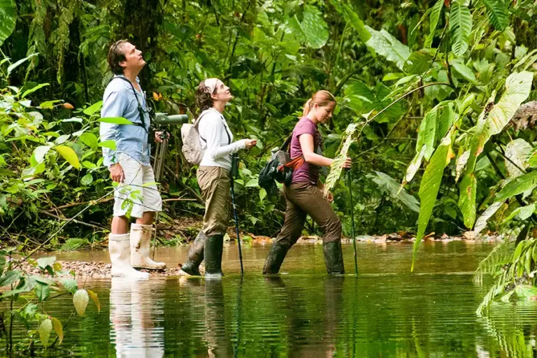 Best Time to Visit Amazon Rainforest