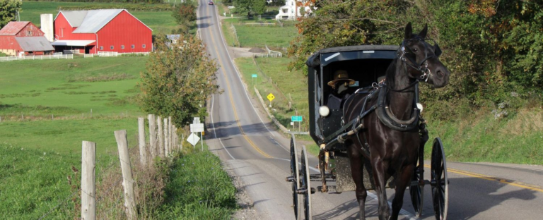 Best Time to Visit Amish Country