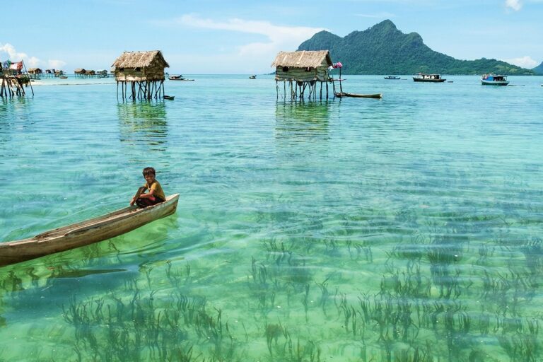 Best Time to Visit Borneo