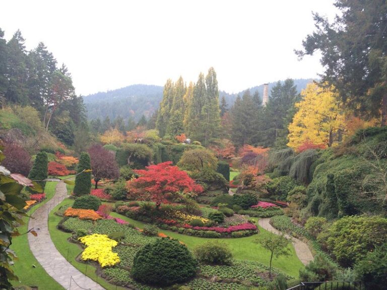 Best Time to Visit Butchart Gardens