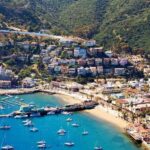 Best Time to Visit Catalina