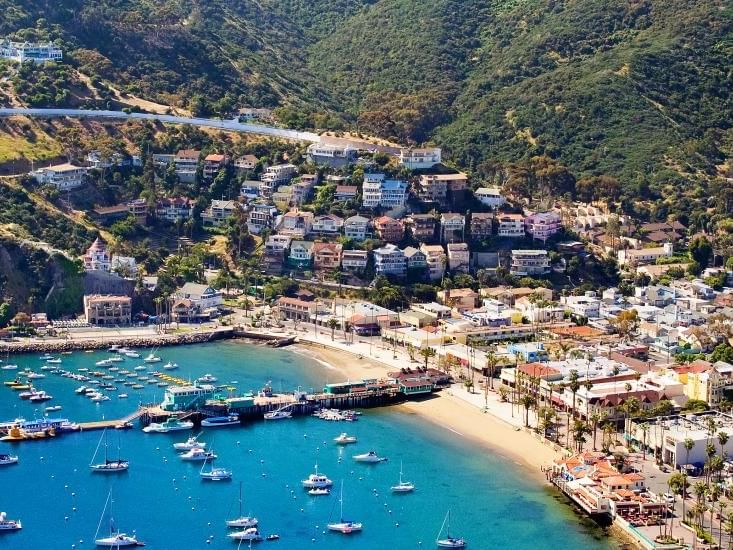 Best Time to Visit Catalina