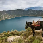Best Time to Visit Ecuador