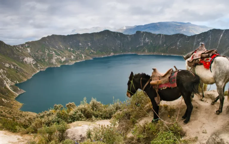 Best Time to Visit Ecuador