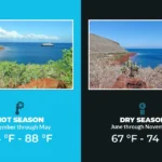 Best Time to Visit Galapagos Islands