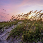 Best Time to Visit Hilton Head