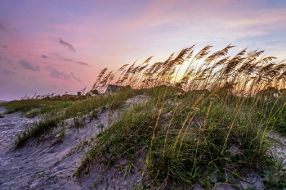 Best Time to Visit Hilton Head
