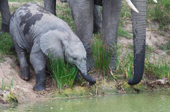 Best Time to Visit Kruger