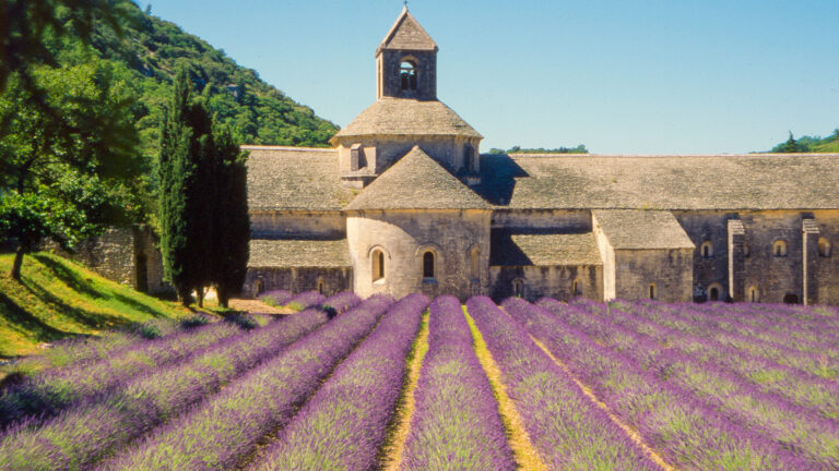 Best Time to Visit Provence