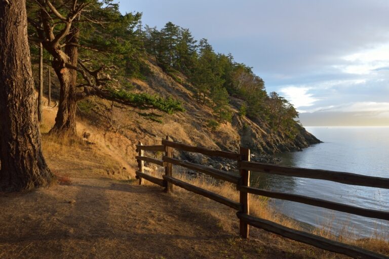 Best Time to Visit San Juan Islands
