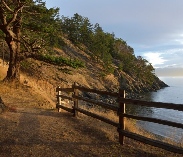 Best Time to Visit San Juan Islands