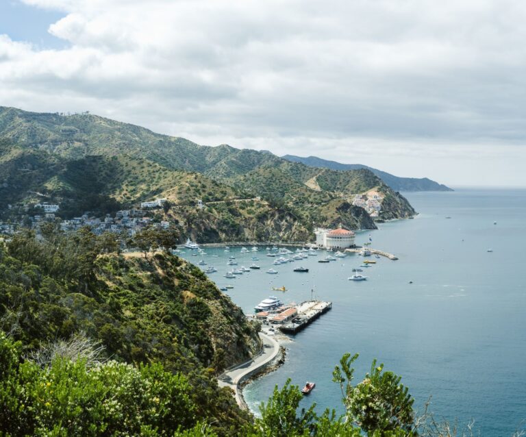 Best Time to Visit Santa Catalina Island