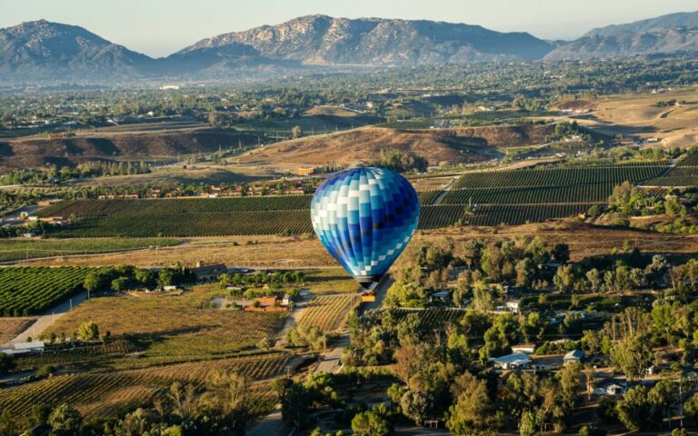 Best Time to Visit Sonoma