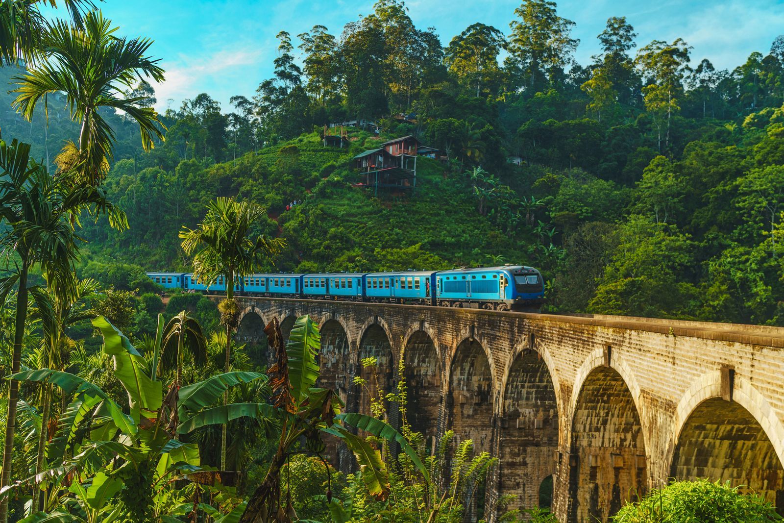 Best Time to Visit Sri