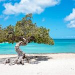 Best Times to Visit Aruba