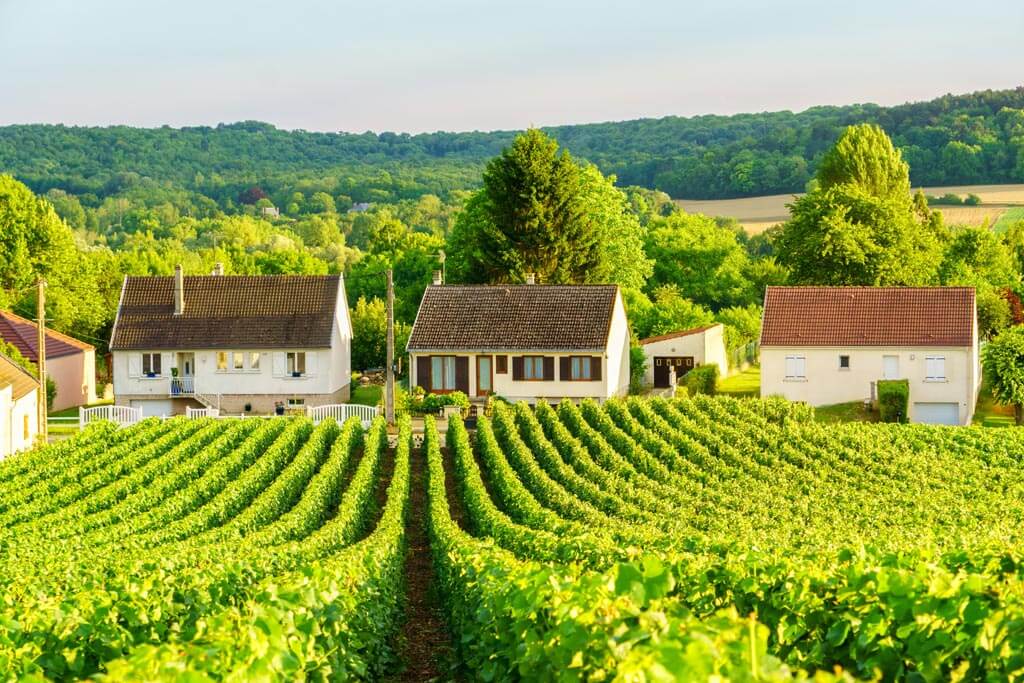 Champagne Day Trip from Paris
