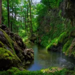 Day Trip from Austin