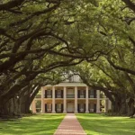 Day Trip from New Orleans