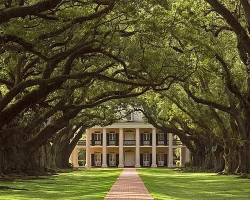 Day Trip from New Orleans