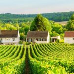 Day Trip from Paris to Champagne