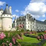 Day Trip from Paris to Loire Valley